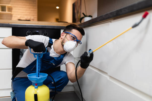 Best Cockroach Control Services  in Hideaway, TX