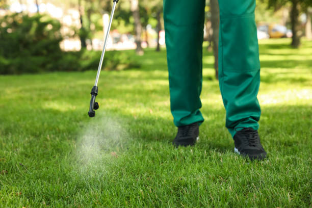 Best Affordable Pest Control Services  in Hideaway, TX