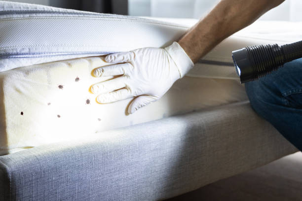 Best Commercial Pest Control Services  in Hideaway, TX