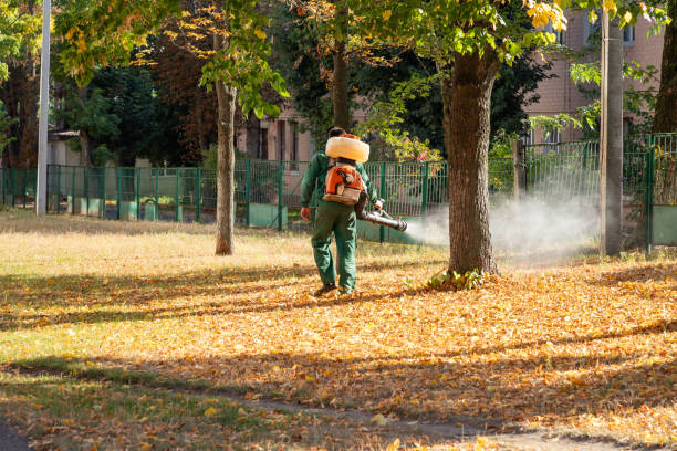 Best Bed Bug Extermination  in Hideaway, TX