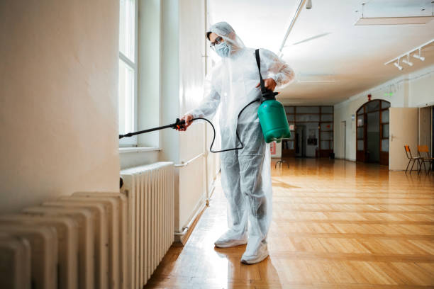 Best Emergency Pest Control  in Hideaway, TX