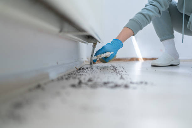Best Residential Pest Control  in Hideaway, TX